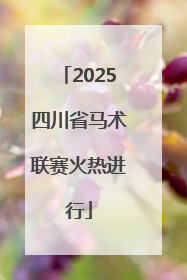 2025四川省马术联赛火热进行