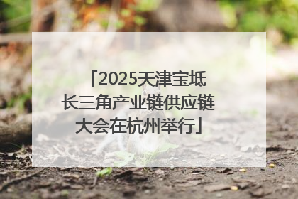 2025天津宝坻长三角产业链供应链大会在杭州举行