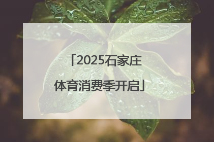 2025石家庄体育消费季开启