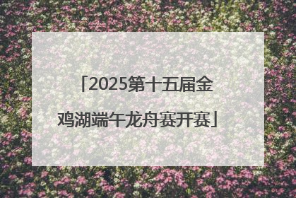 2025第十五届金鸡湖端午龙舟赛开赛