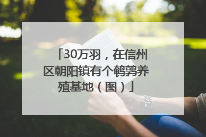 30万羽，在信州区朝阳镇有个鹌鹑养殖基地（图）