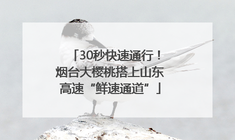 30秒快速通行！烟台大樱桃搭上山东高速“鲜速通道”