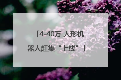 4-40万 人形机器人赶集“上线”