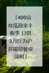 400亩丝瓜迎来丰收季 日供3万斤为沪苏锡常餐桌添鲜