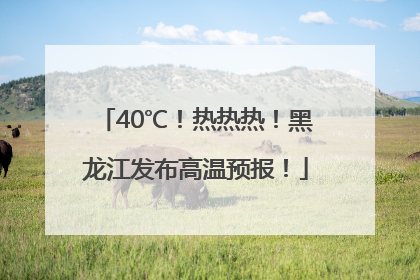 40℃！热热热！黑龙江发布高温预报！
