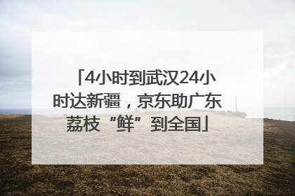 4小时到武汉24小时达新疆，京东助广东荔枝“鲜”到全国