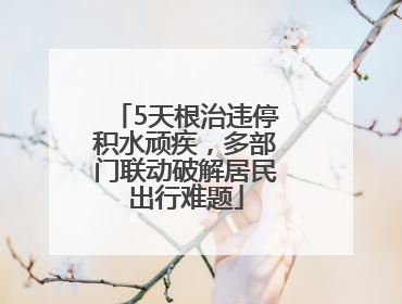 5天根治违停积水顽疾，多部门联动破解居民出行难题