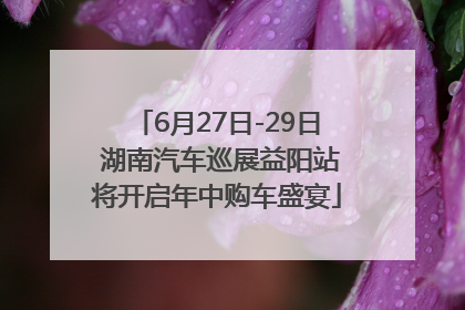 6月27日-29日 湖南汽车巡展益阳站将开启年中购车盛宴