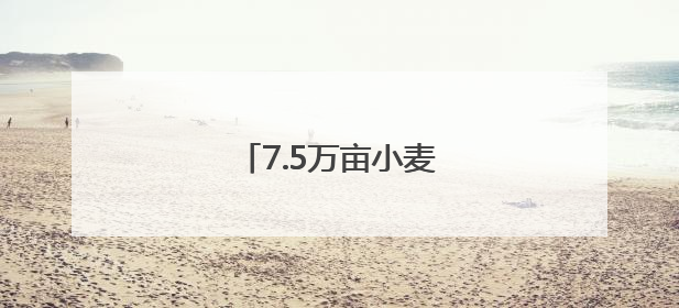 7.5万亩小麦喜开夏收第一镰