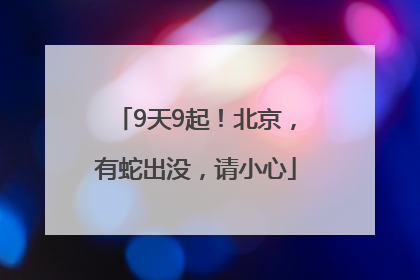 9天9起！北京，有蛇出没，请小心