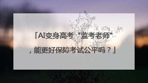 AI变身高考“监考老师”，能更好保障考试公平吗？