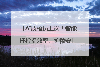 AI质检员上岗！智能扦检提效率、护粮安