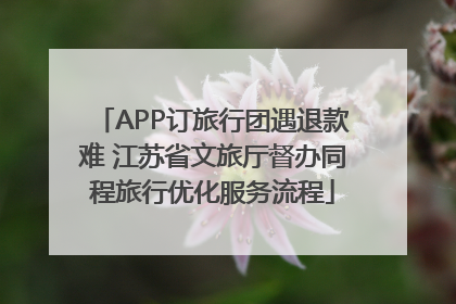 APP订旅行团遇退款难 江苏省文旅厅督办同程旅行优化服务流程