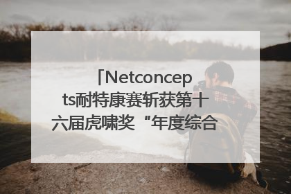 Netconcepts耐特康赛斩获第十六届虎啸奖“年度综合服务商”大奖