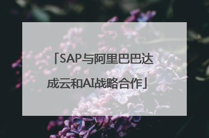 SAP与阿里巴巴达成云和AI战略合作
