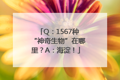 Q：1567种“神奇生物”在哪里？A：海淀！